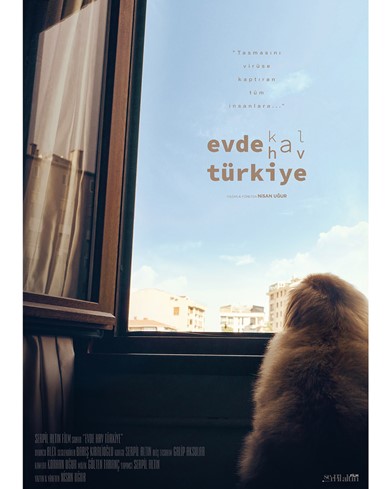 Evde Hav Türkiye Poster