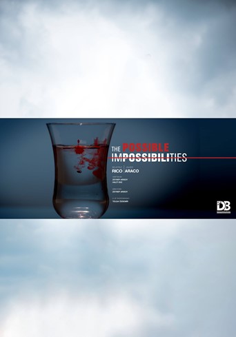 The Possible Impossibilities  Poster