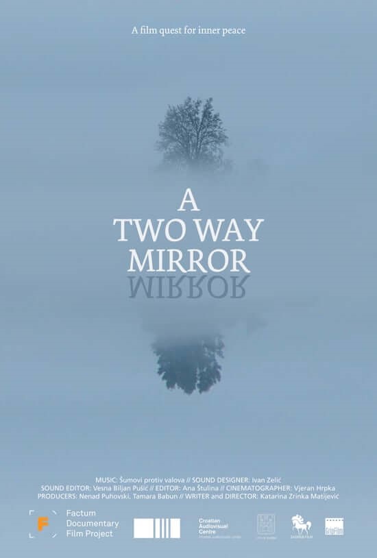 Çift Taraflı Ayna Poster