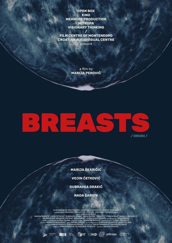 Breasts  Poster