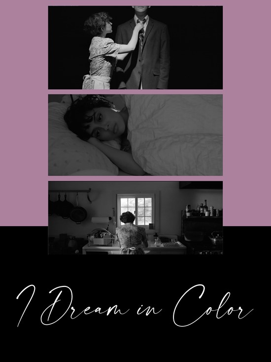 I Dream in Color Poster