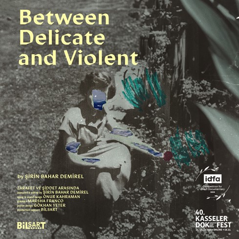 Between Delicate and Violent Poster