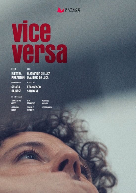 Vice Versa Poster