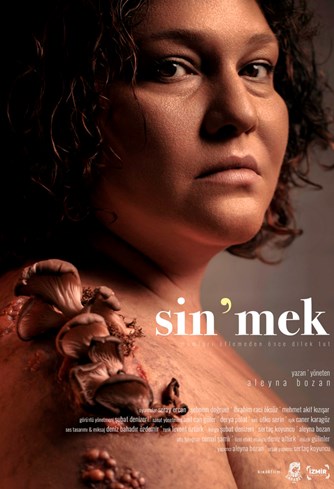 MUSHROOMS & DINOSAURS Poster